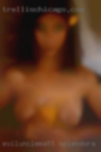 evilunclematt Splendora