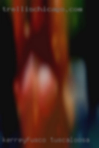 KerreyFusco Tuscaloosa